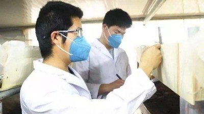 負載對激情AV青青草的溫濕度性能有哪些影響？